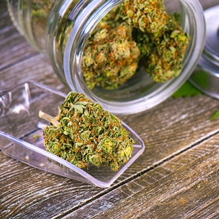 Conditionnement de la marijuana et du CBD