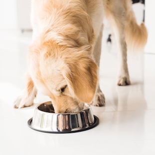 Emballage des aliments pour animaux de compagnie